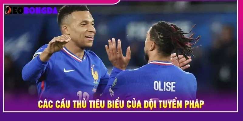 Các cầu thủ tiêu biểu của đội tuyển Pháp