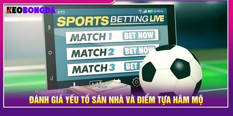 Đánh giá yếu tố sân nhà và điểm tựa hâm mộ