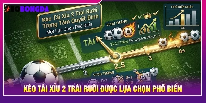 Kèo tài xỉu 2 trái rưỡi được lựa chọn phổ biến