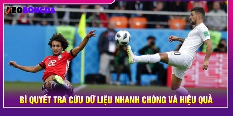 Bí quyết tra cứu dữ liệu nhanh chóng và hiệu quả