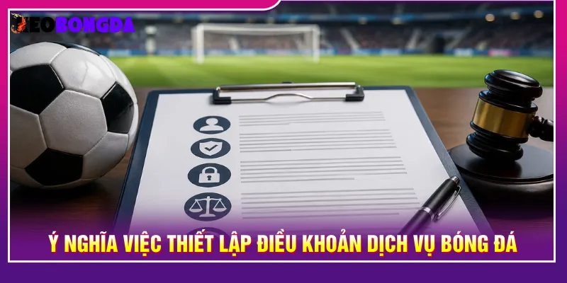 Điều khoản dịch vụ nhằm giúp hiểu chính sách nền tảng