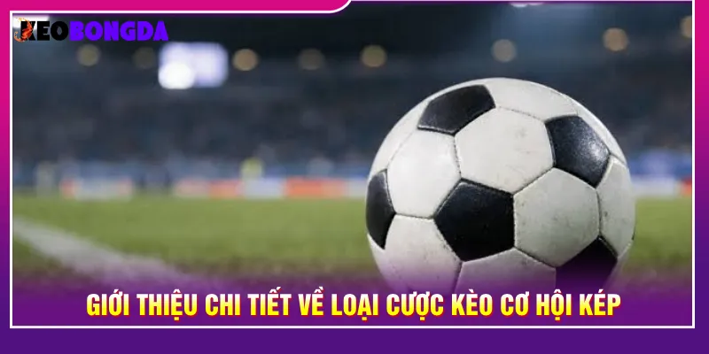 Kèo cơ hội kép giúp người chơi chọn nhiều kết quả khác nhau