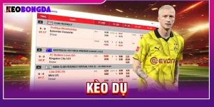 Kèo dụ