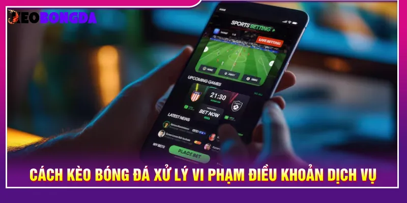 Nền tảng xử lý chặt chẽ khi vi phạm về điều khoản dịch vụ