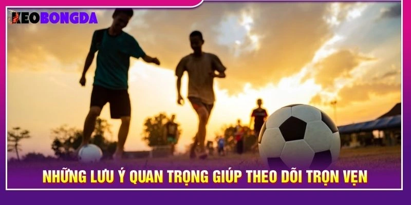 Những lưu ý quan trọng giúp theo dõi trọn vẹn